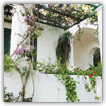 capri villas for sale