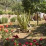 villino vendita capri siola