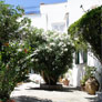 villa for rent