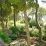 capri villas