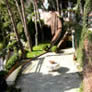 Capri Villa