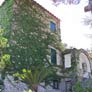 villa for rent