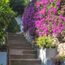 villa for rent