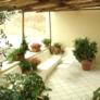 Capri immobiliare