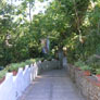 Capri immobiliare